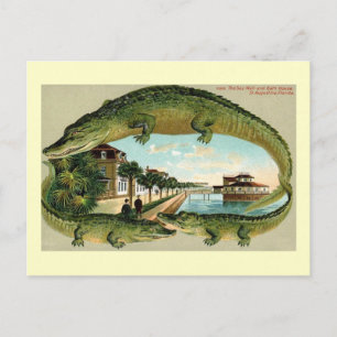 Bath House, St. Augustine, Vintage van Florida Briefkaart