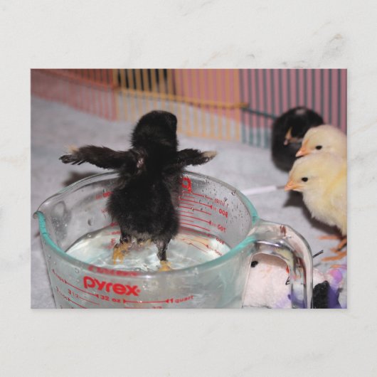 Bath-tijd Briefkaart (Voorkant)