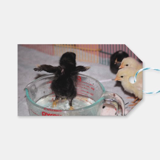 Bath-tijd Cadeaulabel (Voorkant (Horizontaal))