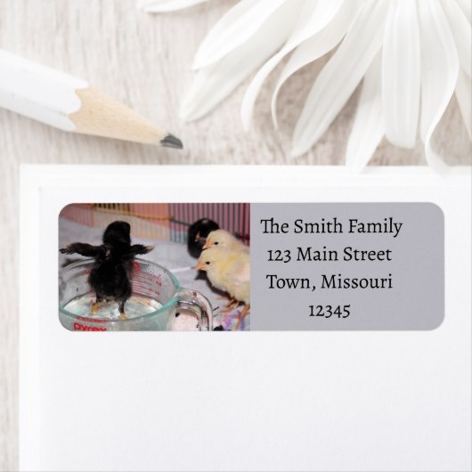 Bath-tijd Etiket (Insitu)