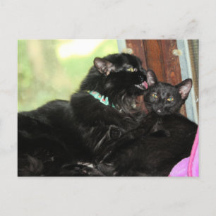 Bath-tijd Feestdagenkaart