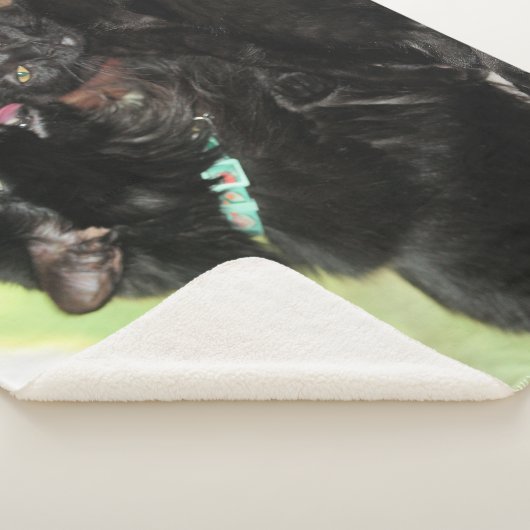 Bath-tijd Sherpa Deken (3/4)