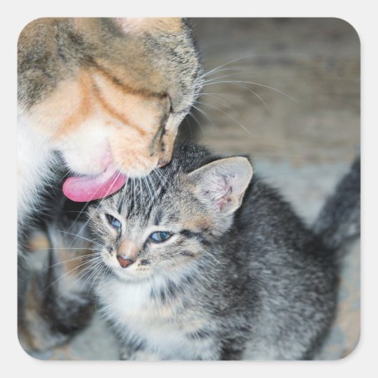 Bath-tijd Vierkante Sticker (Voorkant)