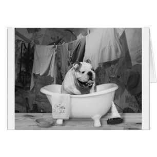 Bath time big fellow