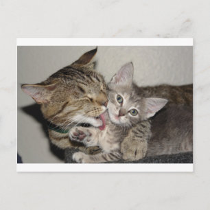 Bath Time Briefkaart