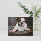 Bath Time Post-kaart Briefkaart (Staand voorkant)