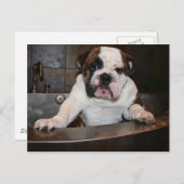 Bath Time Post-kaart Briefkaart (Voorkant / Achterkant)