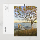 Bathed in Golden Light Briefkaart (Voorkant / Achterkant)