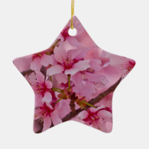 Bathed in Roze Japanse Cherry Blossom Keramisch Ornament