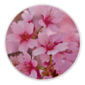 Bathed in Roze Japanse Cherry Blossom Keramische Knop (Voorkant)