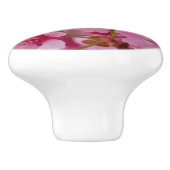 Bathed in Roze Japanse Cherry Blossom Keramische Knop (Zijkant)
