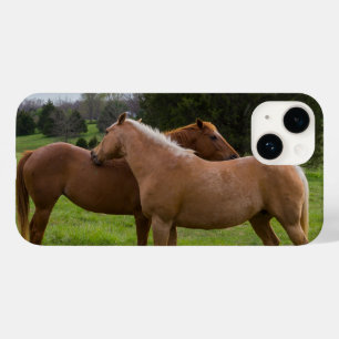 Bathing Beauties iPhone Case