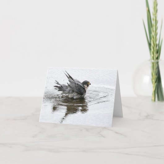 Bathing Beauty Note of Wenskaarten Kaart (Voorkant)