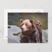 Bathing Brown Beer Briefkaart (Voorkant / Achterkant)