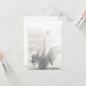 Bathing Swan Photo Kaart (Voorkant / Achterkant in situ)