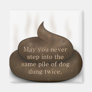 Bathroom Blessing: Stap niet in Poop Twice Magneet