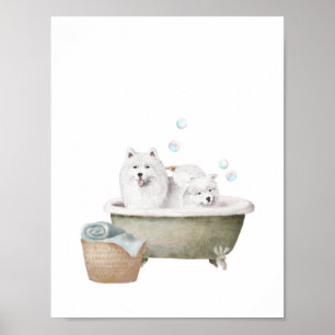 Bathroom Wall Art, Samoyed honden in een bad Poster