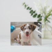 Bathtime Puppy dans Sink carte postale (Debout devant)