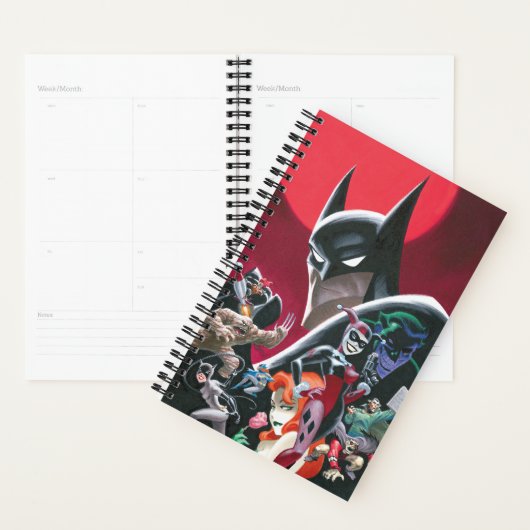 Batman Avonturen Gevaarlijke Dames & Demonen Planner (Display)