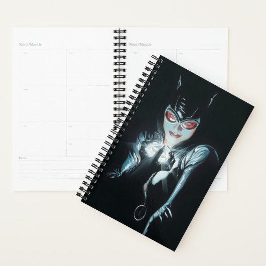 Batman Catwoman Faces of Evil Cover Illustration (Devant avec enveloppe)