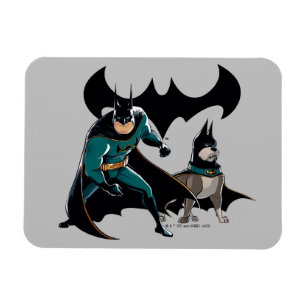 Batman en Ace Magneet