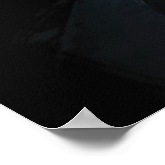 Batman en Oracle Poster (Hoek)