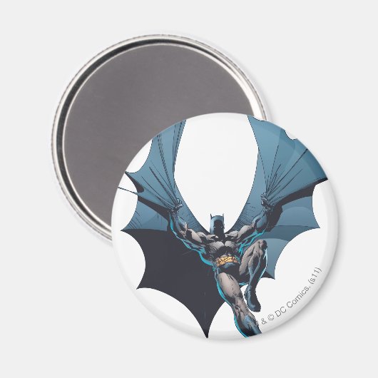 Batman - Tangled Rope Magneet (Voorkant / Achterkant)