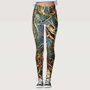 Batrachia Frogs door Ernst Haeckel Leggings