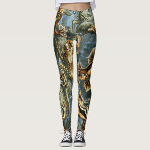 Batrachia Frogs door Ernst Haeckel Leggings