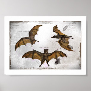 Bat's Educatieve Bord Poster