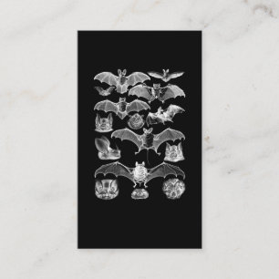 Bats Night Microbat Night Uitzicht Creepy Gothic Visitekaartje