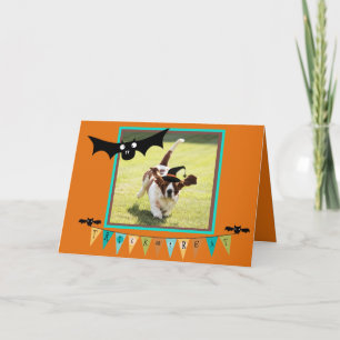 Bats & Sorcière Basset Sur Carte Mignonne Hallowee
