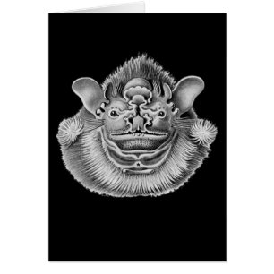 batte Ride-faite face