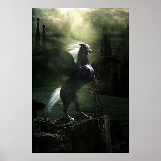 Battle Pegasus Poster (Voorkant)