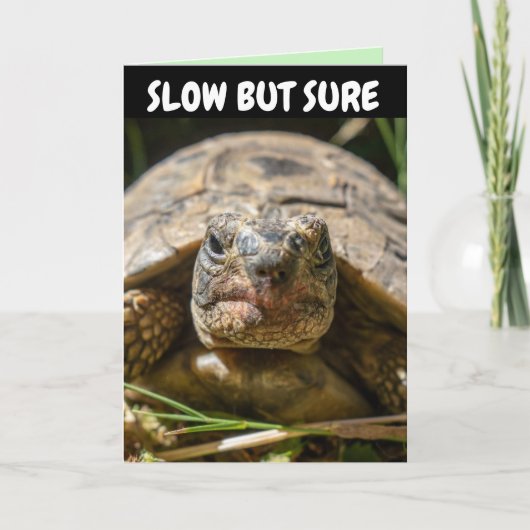 BATTUE BIRTHDAY TURTLE Carte de voeux (Devant)