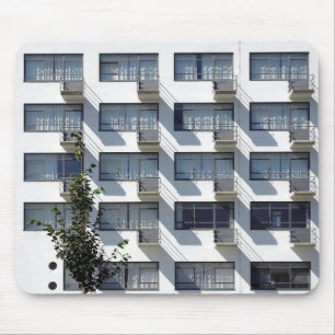 Bauhaus Dessau Duitsland Muismat
