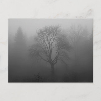 Baum im Nebel Briefkaart