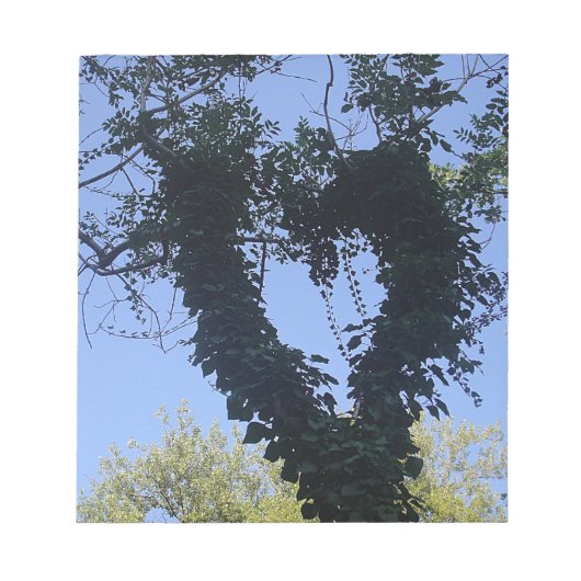 Baumherz Notitieblok (Voorkant)