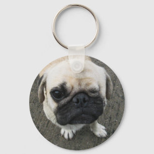 Bauwk ... Pug Dog ... か わ い 子 犬 Sleutelhanger