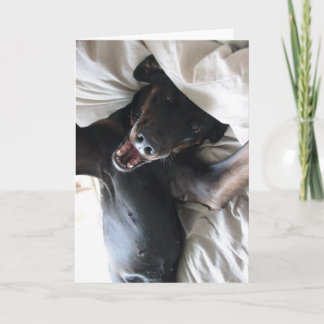 Bavard la carte de voeux de Selfie de chien de