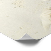 Bavaro Beach op het eiland Punta Cana Poster (Hoek)