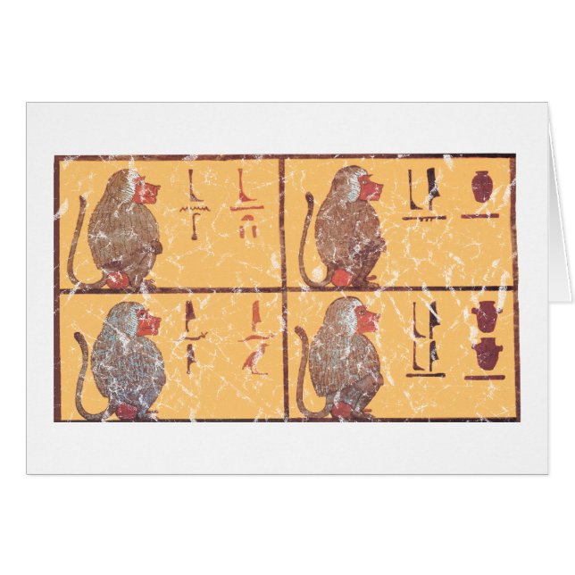 baviaan (Voorkant Horizontaal)