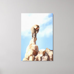 Baviaan aap boven op een berg canvas afdruk