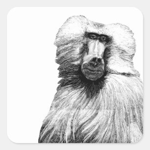 Baviaan Aap Oerwoud Safari Illustratie kunst Vierkante Sticker