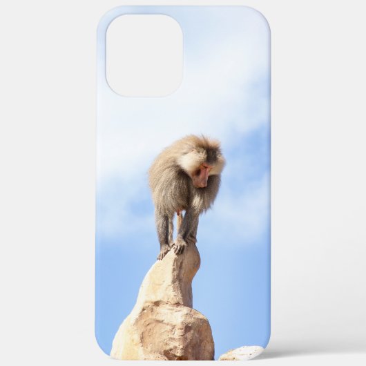 Baviaan aap op de top van een berg Case-Mate iPhone case (Achterkant)