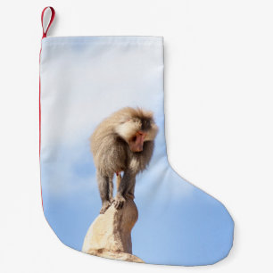 Baviaan aap op de top van een berg kleine kerstsok