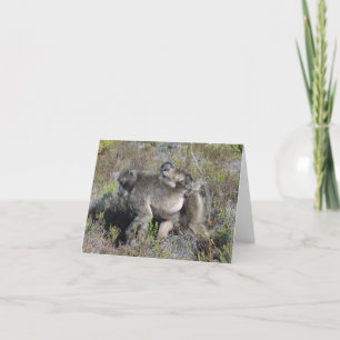 Baviaan Notecard Kaart