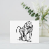 Bavianen Briefkaart (Staand voorkant)