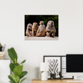 Bavianen en jonge vakantie poster (Thuiskantoor)