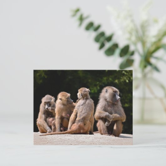 Bavianen en jongeren feestdagenkaart (Staand voorkant)